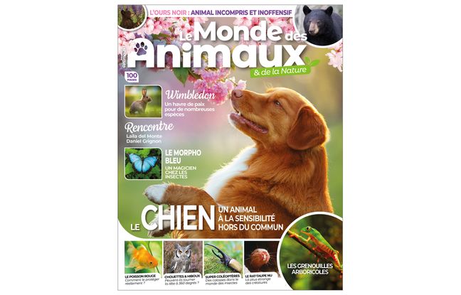 The World of Animals & Nature is a quarterly magazine.